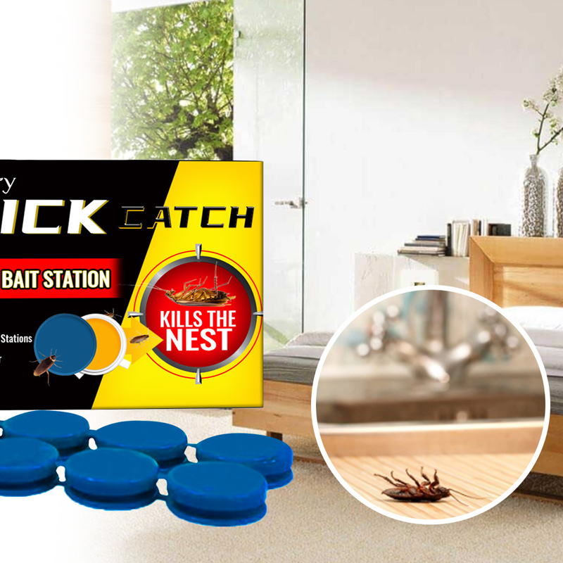 Roach Killing Bait Station(Set of 8)
