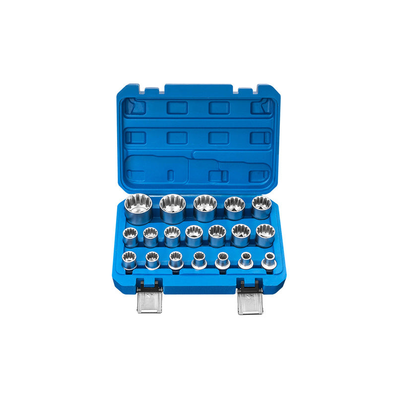 19-piece set of 12-point plum tooth socket head