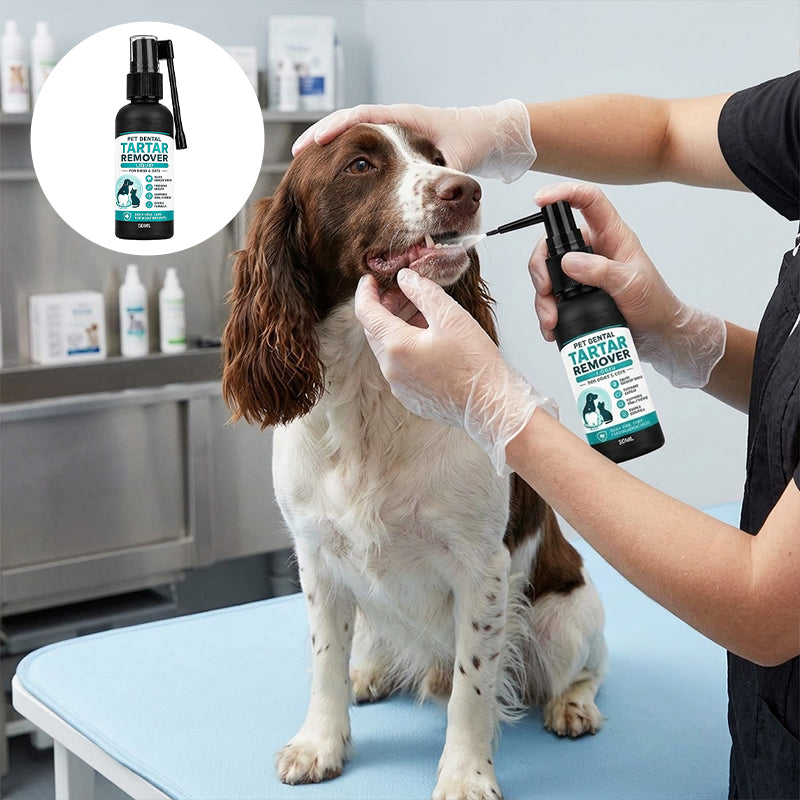 Pet Dental Tartar Remover Liquid