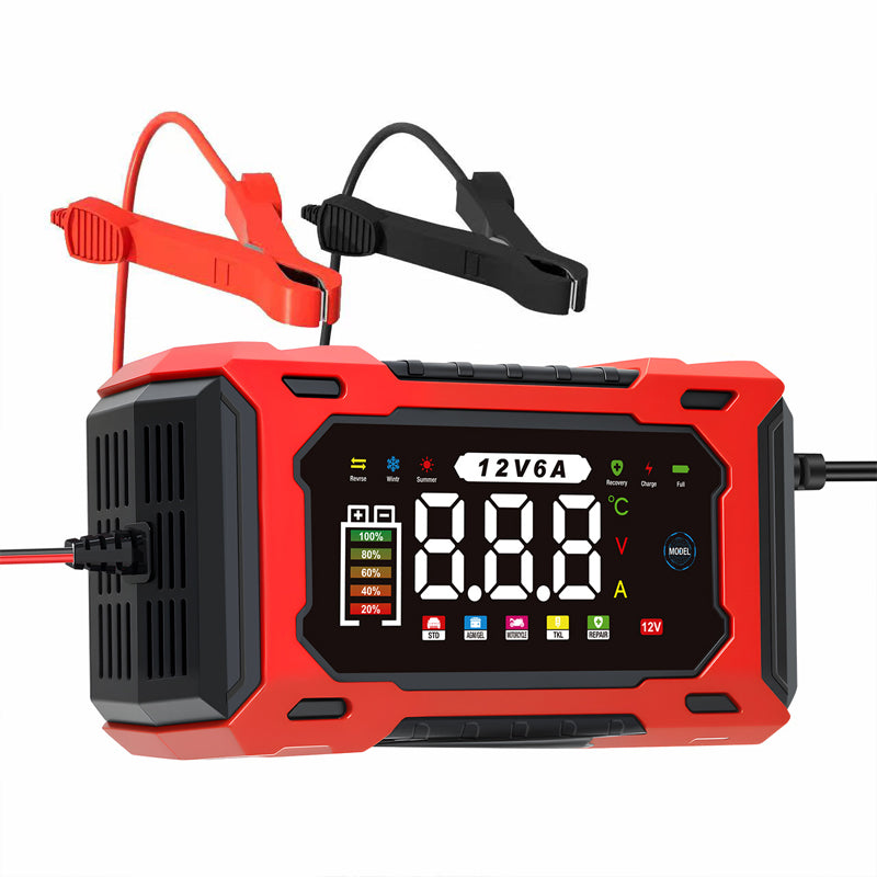 Professional 12V 6A Smart Lead-Acid Charger